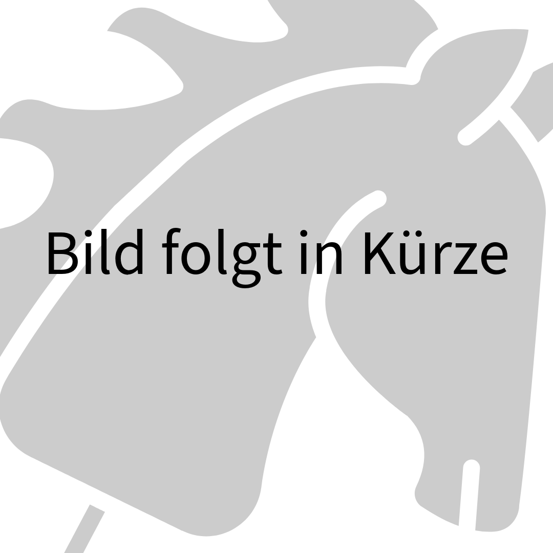 Wunschpferd (Microfaser)