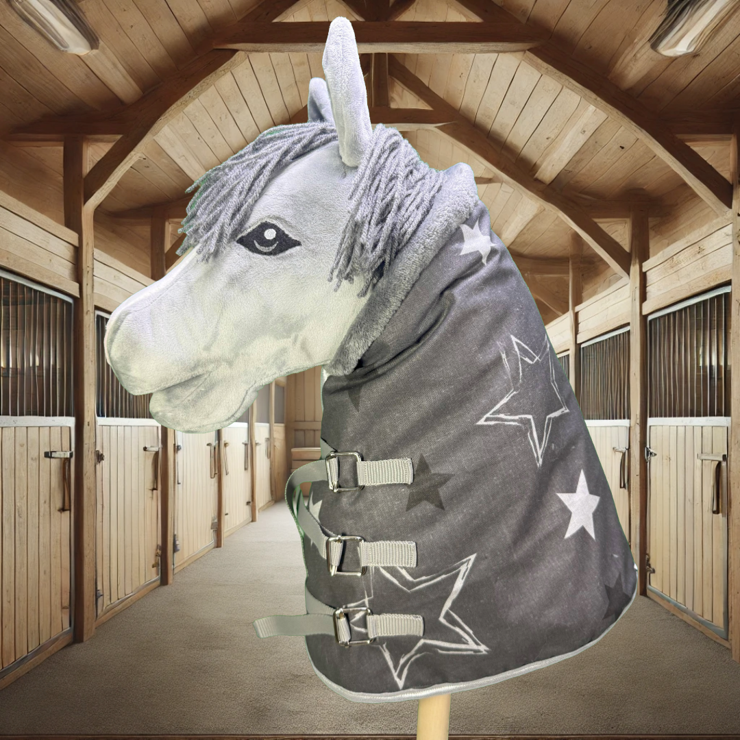Stalldecke mit Sternen in grau 