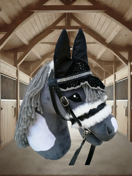 Turnierset (glänzend)